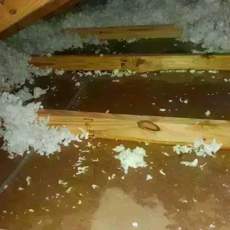 Attic Water Damage in Rogers, MN