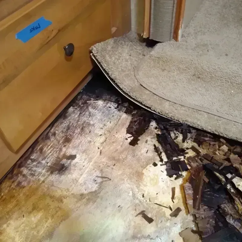 Best Wood Floor Water Damage Service in Rogers, MN